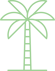 palm